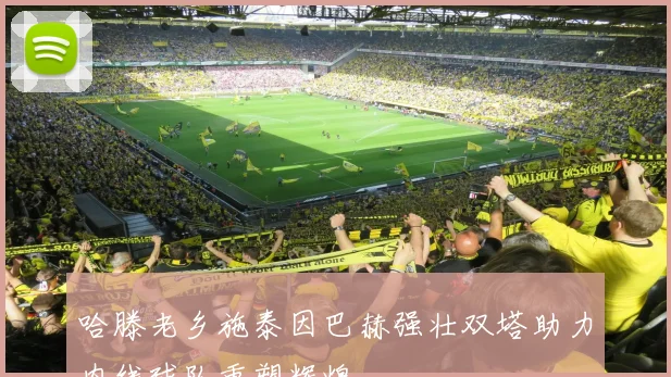 哈滕老乡施泰因巴赫强壮双塔助力内线球队重塑辉煌